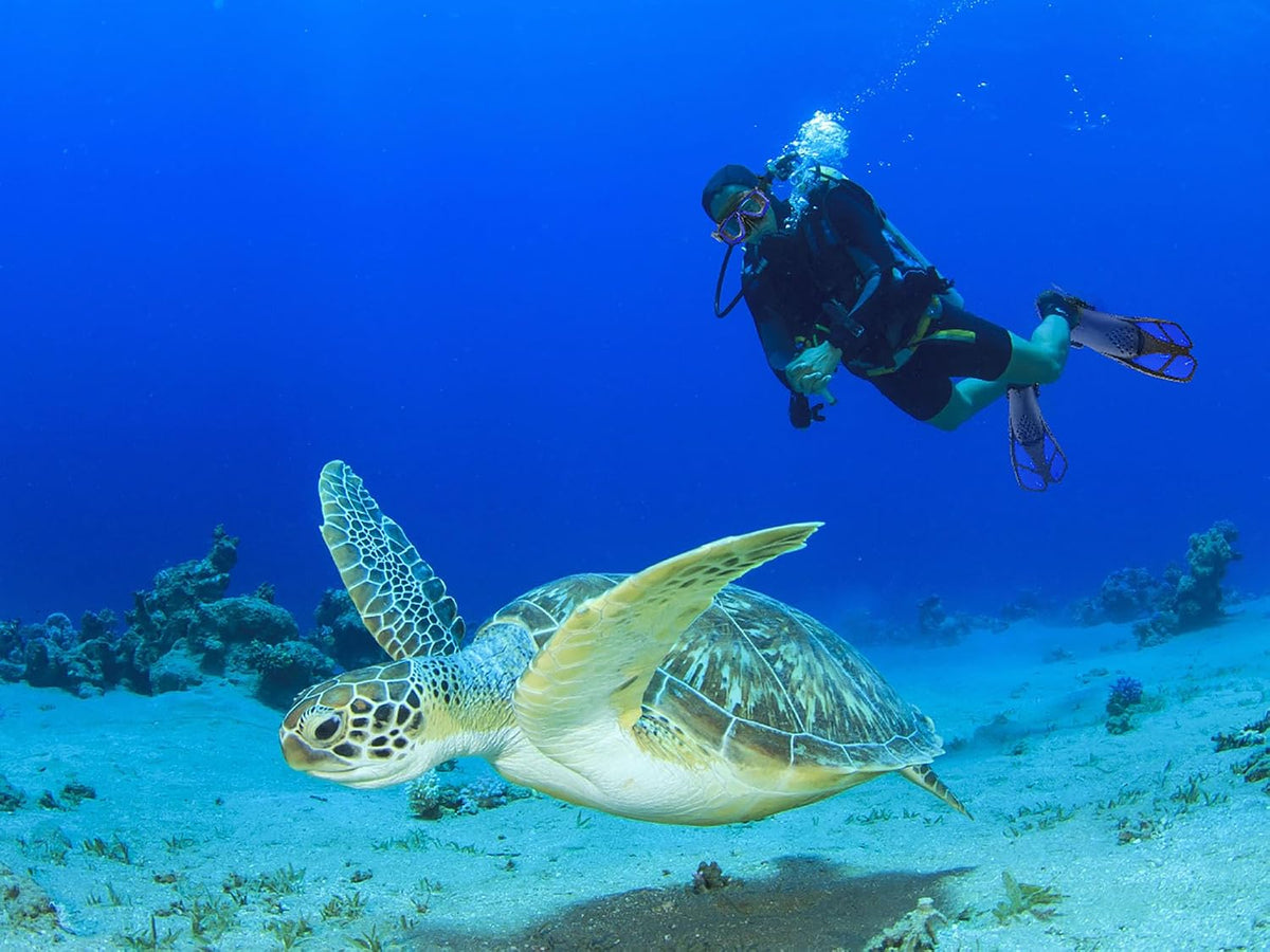 Snorkeling Gear for Adults with Bag Anti-Fog Snorkel Sets for Travel