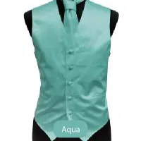 Aqua Mens Solid Vest