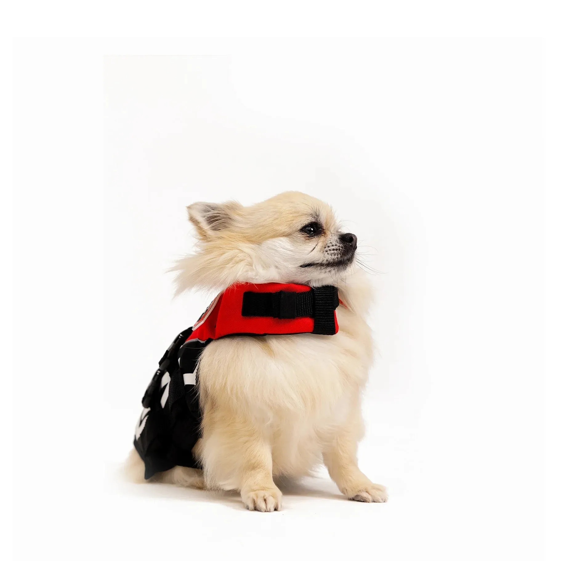 Ezydog Dfd Life Jacket Red Micro Extra Small^^^