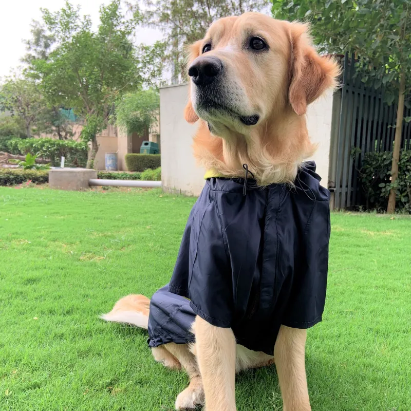 PoochMate Two Toned Rain Coat - Navy & Yellow